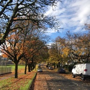 Meet your Posher, Yulli